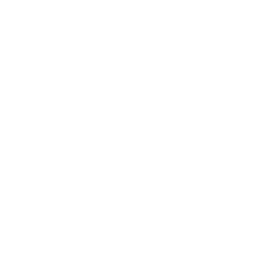 HOSMATCH CORP.